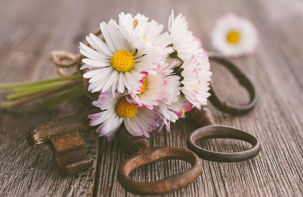 Small bouquet of daisies resting on old rusty keys on weathered wood